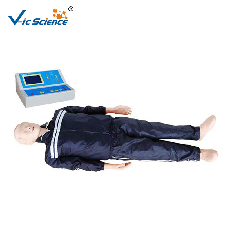 China Durable Whole Body Basic CPR Training Manikins Model For Medical Science wholesale