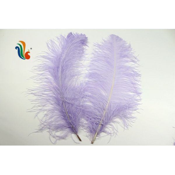 Various Color Millinery Feather Ostrich Plume Feathers 50-55cm For Hat Decoration