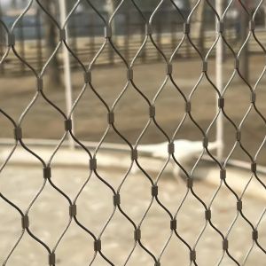 Buy cheap Stainless Steel Ferrule Rope Mesh Border Connection Options from wholesalers