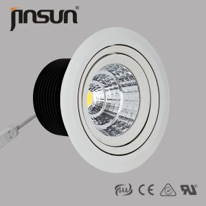 30W 2200Lm 4000K Natural White Citizen COB LED Downlight With TUV Certificate