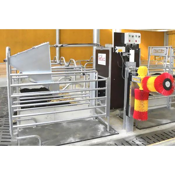 Heavy Prefabricated Steel Structure Cow Shed for MTS Drawing Design Dairy Cattle Farm