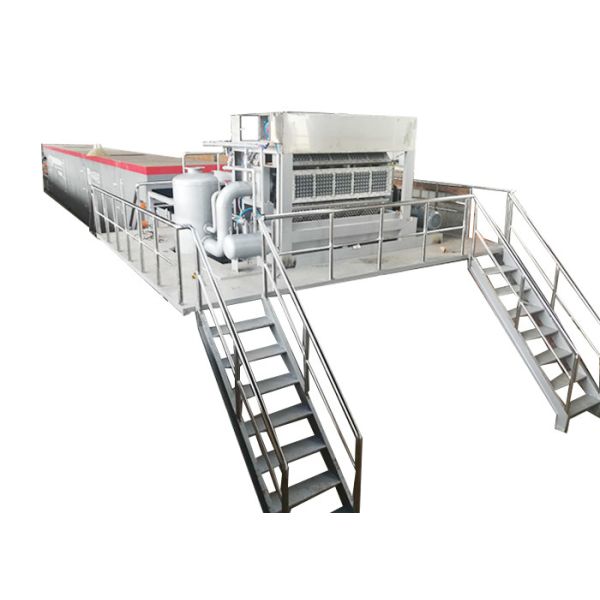 Pulp Automatic Paper Cup Making Machine
