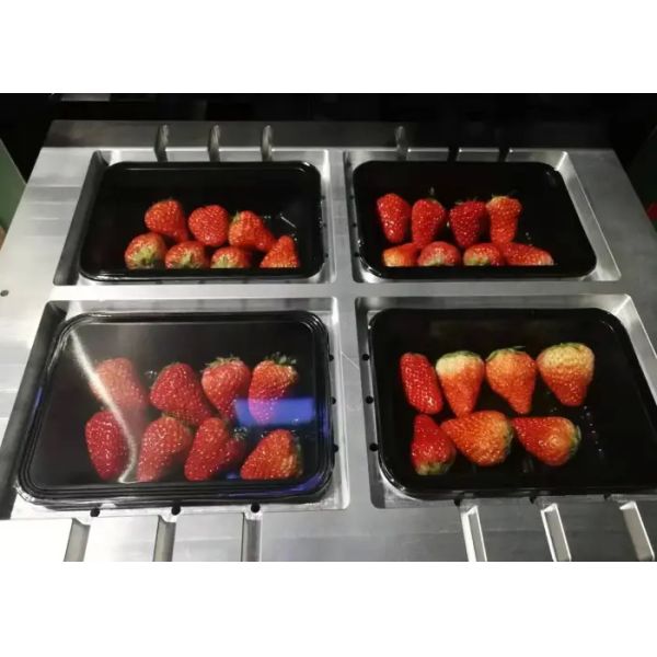 Automatic Modified Atmosphere Packaging Machine MAP Packaging Equipment 0.8Mpa