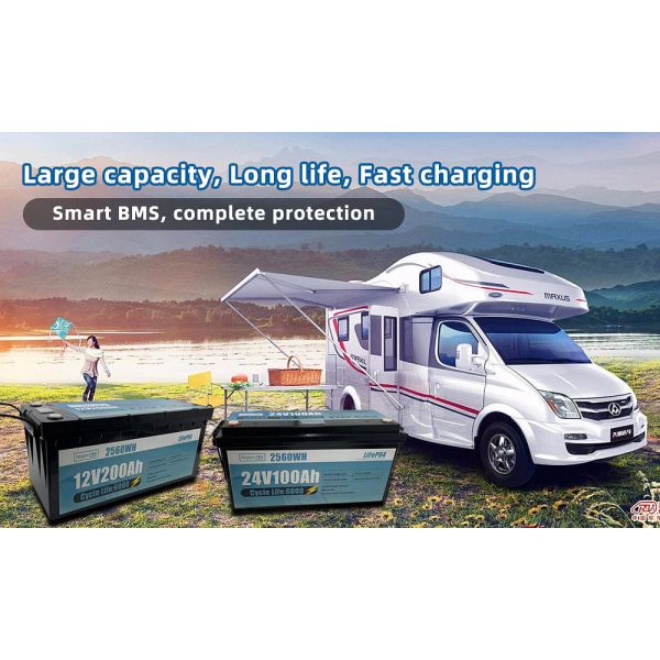 RV Camper Long Life LFP Lifepo4 Battery 12V 24V 100Ah 200Ah With Smart BMS