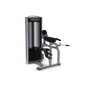 China Professional Matrix Strength Training Equipment Gym Biceps Curl Machine wholesale