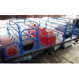 pig breeding equipment