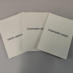 China Custom Design Folded Instruction Booklet Different User Manual Printing wholesale