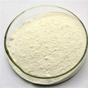 China Chengyida supply 25kg bag xanthan gum food grade bulk thickener CAS NO 11138-66-2 wholesale
