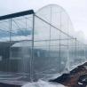 Agricultural Polyethylene Foil Greenhouse Hot Galvanized Steel Structure Multi Span Greenhouse for sale