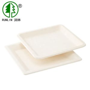 China LFGB Rectangular Biodegradable Sugarcane Disposable Plates For Wedding Parties on sale