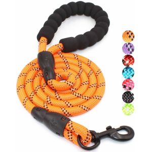 5 FT Nylon Dog Leash With Comfortable Padded Handle