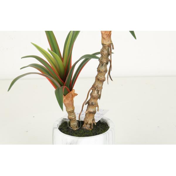 Red Side Dracaena Artificial Bonsai Tree For Indoor Decoration 38 CM 50 CM 68 CM