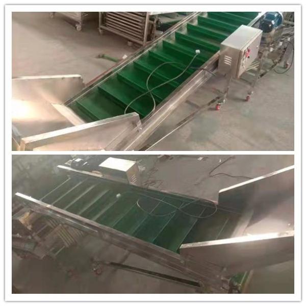 mushroom classification machine, mushroom classifier, mushroom sorting machine