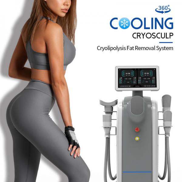 Quality Non Invasive Cryolipolysis Weight Loss Machine Cellulite Treatment Machine for sale