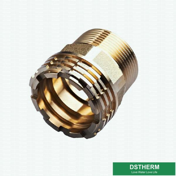 Quality Precise Designs Male Brass Inserts Customized Designs For Ppr Fittings Italy Designs for sale