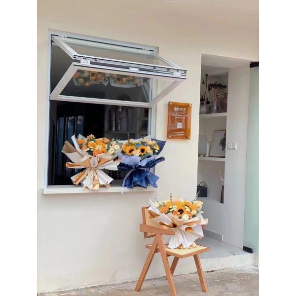 Ease Universal Design Folding Window Featuring Lever Handles for Arthritis Friendly Daily OperationEase Universal Design Folding Window Featuring