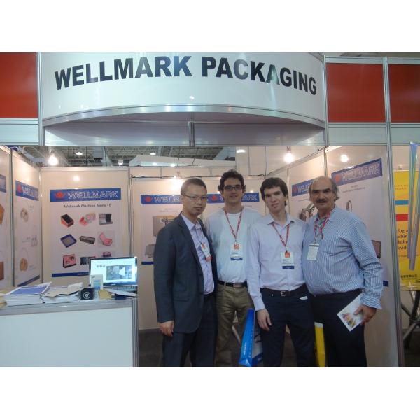 Automatic Die-Cutting and Creasing Machine with Stripping Station