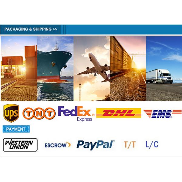 Custom M12 Electrical Connector A B D Code 3 - 17 Pin Panel Mount / Assembly / Cable Type