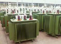 315kVA 10kV Oil Immersed Distribution Transformer S(B)22-NX1 Energy Efficiency