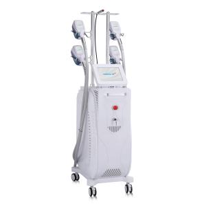 Buy cheap Vertical Cryolipolysis Fat Slimming Machine For Weight Loss from wholesalers