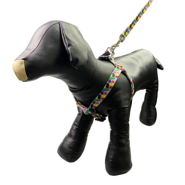 No Pull Dog Harness Set Adjustable Designer Dog Harness Leash Set