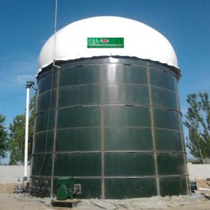 China Animal Manure Anaerobic Digester Biogas Production In Bio Gas Plant Project wholesale