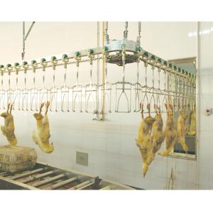 800bph - 2000bph Chicken Automatic Slaughtering Machine Broiler Processing
