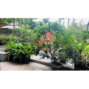 Guangzhou Wisdom Wheel Science Technology Ltd.