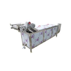 China 300kg/h 2.95kw Raspberry Vegetable Blanching Machine wholesale