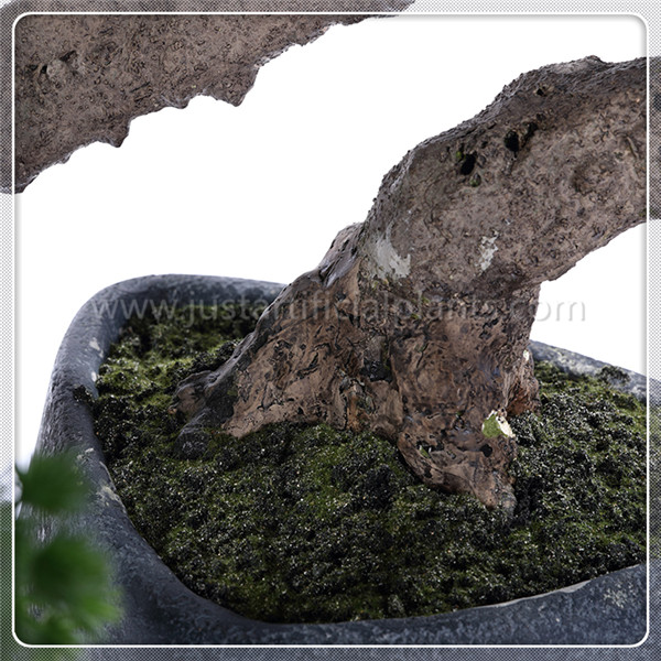 Home Office Decoration Artificial Pine Bonsai Without Pot , Curving Stem