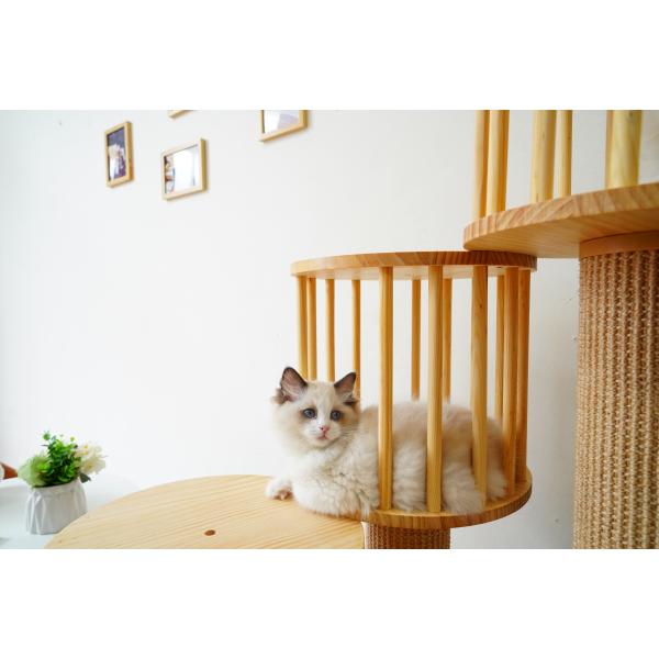 Durable House Kitten Cat Climbing Tree Tower Condo With Scratching Posts