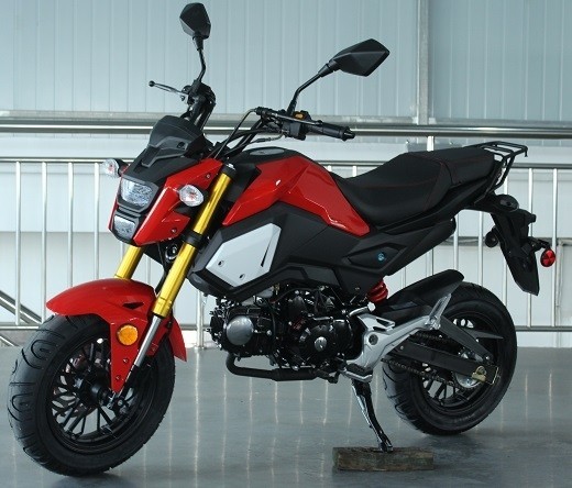 Special Edition Motorcycle With Manual Transmission, Electric Start, Dual