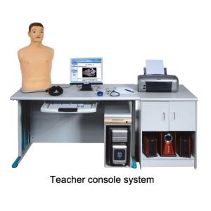 China Local Network Teaching with Cardiopulmonary Auscultation Manikin and Palpation wholesale