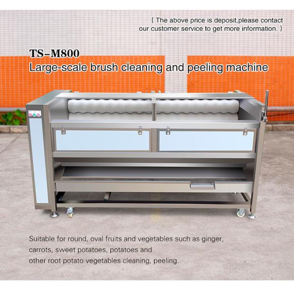 Large scale brush Washing cleaning and peeling machine Ginger Potato Carrot Taro Sweet potato Yam Saiko persimmon papaya horseshoe macadamia nut
