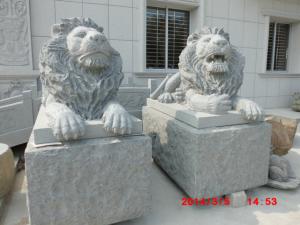 China Carving Stong Lion Sculpture wholesale