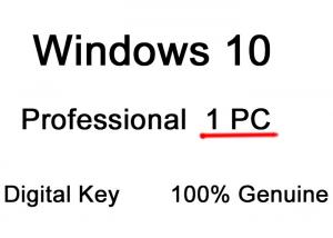 China PC Windows 10 Pro Genuine Product Key English Language Key Direkt Per E-Mail wholesale