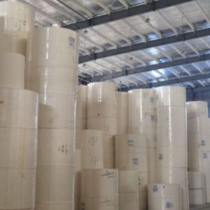 China 100% Virgin Wood Pulp Waterproof Raw Material Food Grade PE Coated Paper Cup Roll for Sale on sale