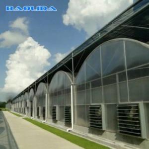 China Agricultural Flowers Shading Multi Span Hot Dipped Galvanized Polycarbonate Greenhouse wholesale