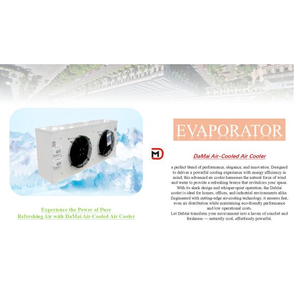 Top Performance Copper Tube Cold Room Evaporators for Light Industry