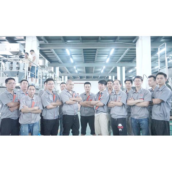 1000g 2000g Wheat Flour Packing With Pillow Bag Sealing