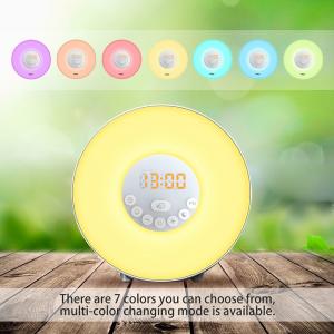 China Alarm Clock,Wake Up Light with 6 Nature Sounds, FM Radio, Touch Control and USB Charger wholesale