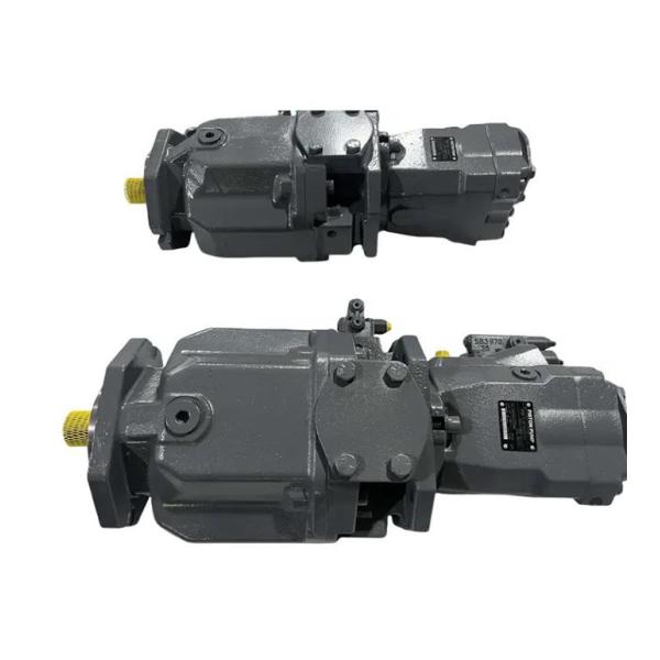 A10VO60DFR1/52R-PSD12NOO Hydraulic Pump A10VO60 D-72160 A10VO60DFR1 SA10VO60DFR1/52R-VSR46N00-S1607 By Axial Rexroth