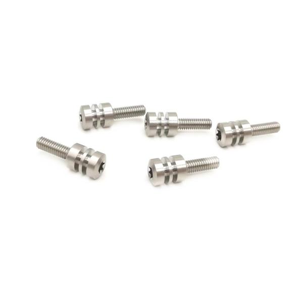 Processing Customized Hand Screwed Glue Coated Screws Non Standard Anti Theft Bolts