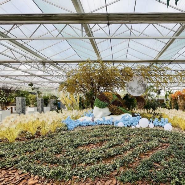 Float Single Layer Glass Greenhouse Hydroponic System