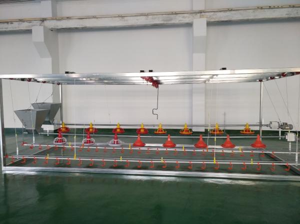 Quality Broiler Automatic Chicken Feeder System Using Microcontroller for sale