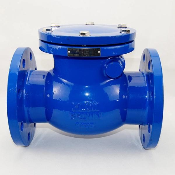Swing Type Check Valve