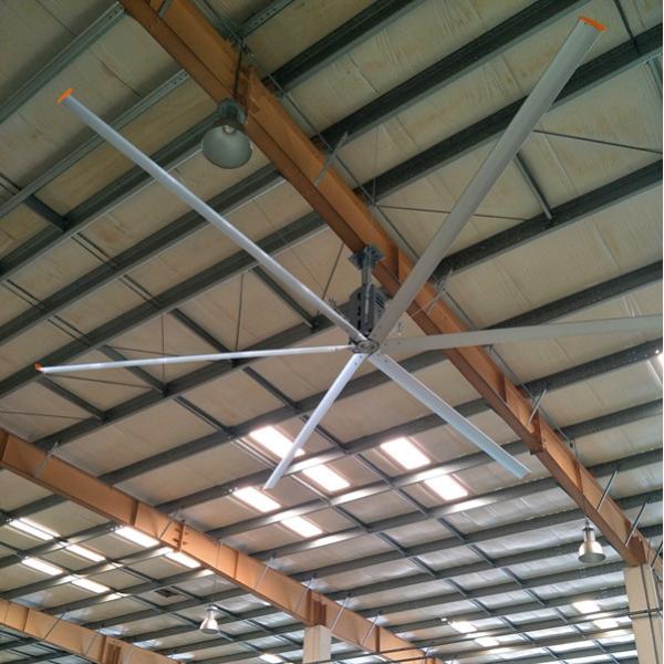 Big Wind Factory Ceiling Fans AWF66 Large Diameter 50 / 60hz With 8 Blades