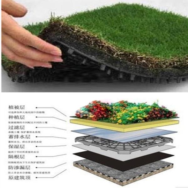 8mm-20mm Thickness Greenroof Dimple Mat Drainage Board with PE Material 2m Length