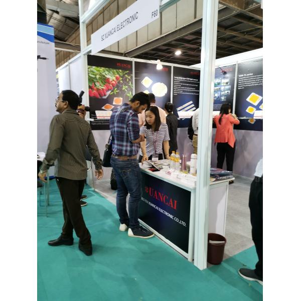 US Bridgelux 150LM 1W 3V 300mA 6000K 3030 SMD LED Chip