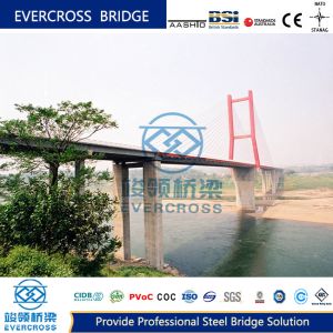 China Diagonal Pedestrian Cable Stayed Bridge Large Span Composite Steel Bridge wholesale